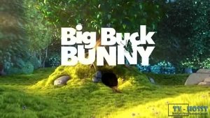 Big Buck Bunny (кодовое имя Peach) — короткий анимационный фильм Blender Institute, части Blender Foundation.