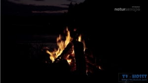 Релакс трансляции природа костёр - Relax broadcast nature bonfire HD Relax.