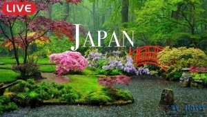 Relaxing Asian Music “Dreams of Japan” for Studying, Spa, Coffee, Work, Sleeping.